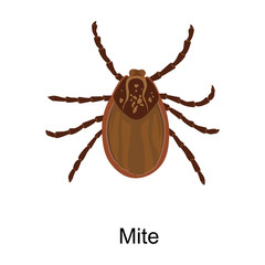 Mite vector icon.Cartoon vector icon isolated on white background mite.