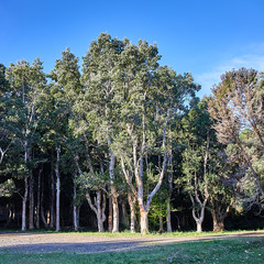 Mauritius landscapes