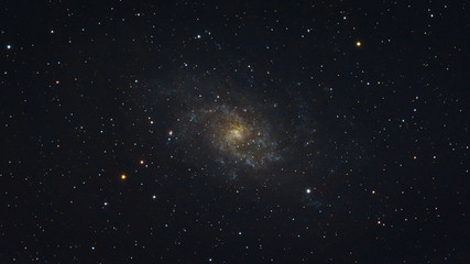 Obraz na płótnie Canvas The Triangulum Galaxy photographed from Vorderweidenthal in Germany.