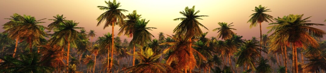 Fototapeta na wymiar Palm trees at sunset, sunset panorama in palm trees