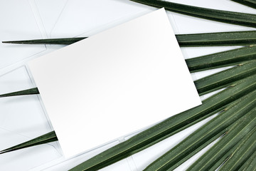 palm tropical leaf green leaves poster business card branding paper mockup blank natural organic green greenery foliage