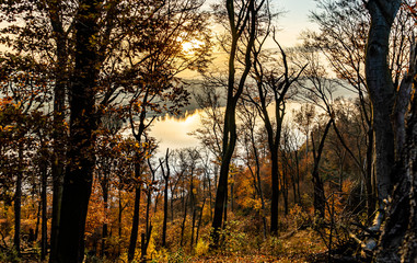 Fototapeta premium Wald mit See