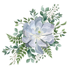 Bouquet with succulent flowers, watercolor, isolated on white. Vector Watercolour.