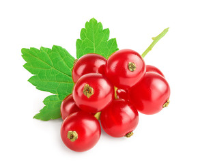 Red currant berries with leaf isolated on white background