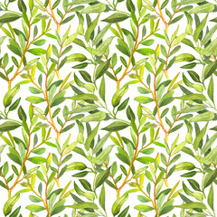 Watercolor hand painted botanical tea tree branches and leaves illustration seamless pattern - wallpaper, wrapping paper, fabrics design