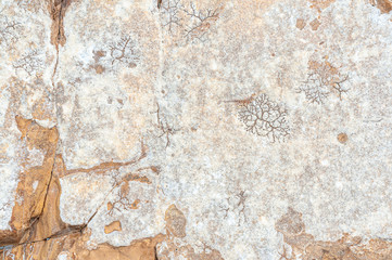 Texture pattern. Stone texture. Stone old wall. Granite natural surface. Natural stone close-up. Structural surface close-up.