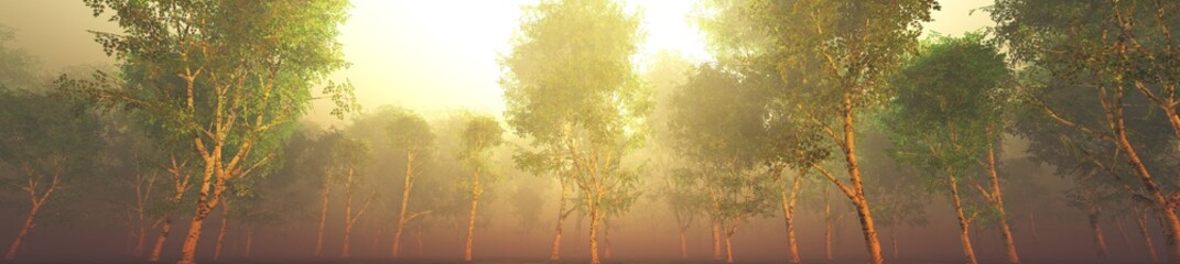 Naklejka na ściany i meble Beautiful park in the fog, trees in the morning haze.