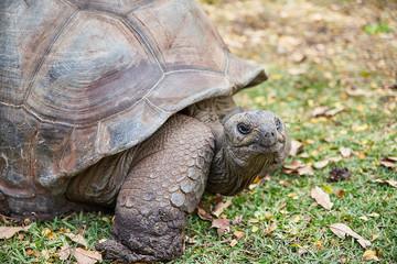 Mauritius landscapes