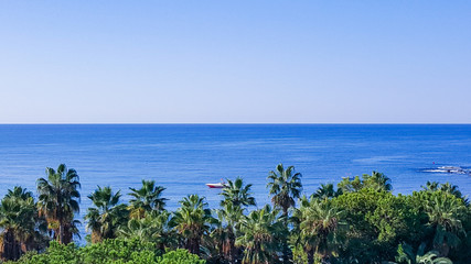 Sea view of palm trees and tropical plants around the water area.