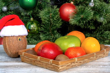 Coconut with eyes in a Santa hat and assorted tropical fruits in a wicker basket close-up on a background of the Christmas tree. New Year and Christmas conceptual background. 