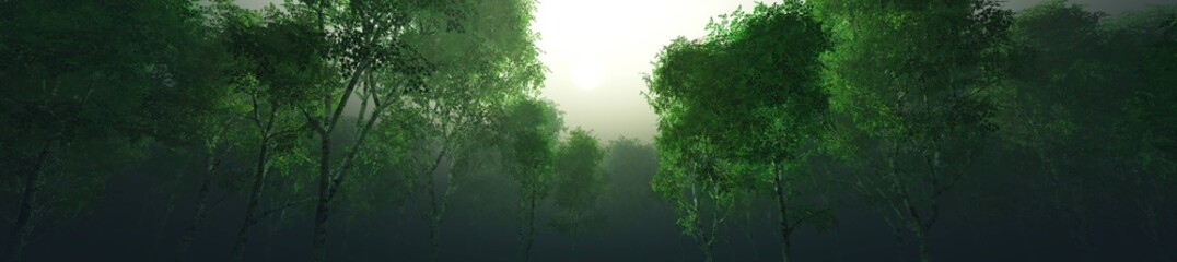 Obraz premium Beautiful park in the fog, trees in the morning haze.