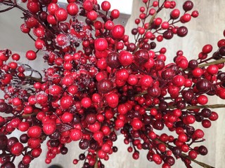 Christmas decoration with red berries, selective focus. Spruce branches and red berries. Christmas design. New year background with traditional decoration elements 