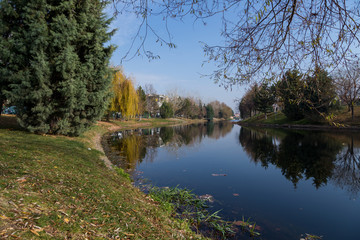 Fototapeta premium view of a natural park by the river on a foggy autumn morning