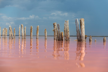 Pink lake in Crimea used in fangotherapy(mud treatment)
