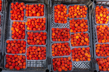 organic wild strawberries sold in market