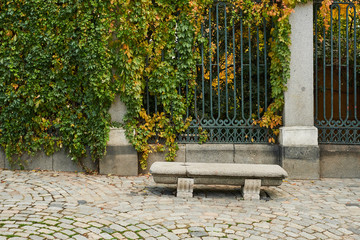 Stone bench and iron fence with ivy