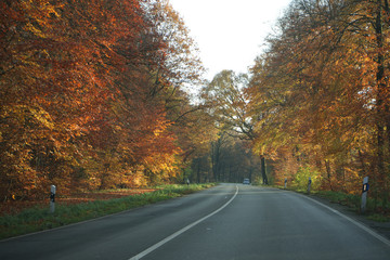 Fototapeta premium Landstraße 