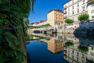 Fototapeta na wymiar river in Ljubljana, Slovenia