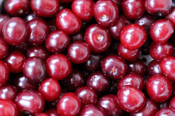 Close-up view of ripe sweet cherries. Water droplets are visible on some red berries. Red background.