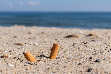 cigarettes in the sand environmental pollution and nature