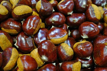 Fresh chestnuts in the shell at a farmers market