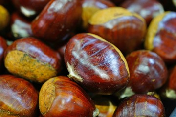 Fresh chestnuts in the shell at a farmers market