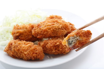  Image of oyster fly in Miyagi Prefecture, Japan