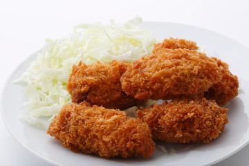  Image of oyster fly in Miyagi Prefecture, Japan