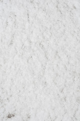 Obraz premium Fluffy snow covered frozen ground with thin layer.