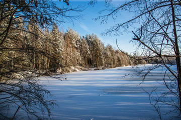 Beautiful snowy forest rises on the shore of a frozen lake