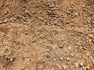 Earth with dust and sand mixed. Close-up