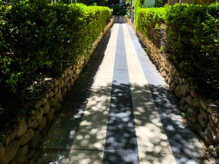 Beautiful flat path. Near green bushes with a fence