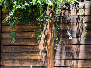 A beautiful wooden fence with cracked paint. Close-up