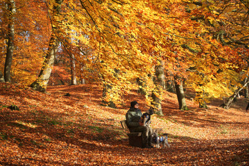 Obraz premium Goldener Herbst