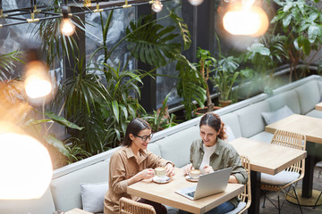 High angle portrait of two young women looking at laptop screen while enjoying coffee in outdoor...