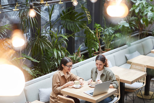 High Angle Portrait Of Two Young Women Looking At Laptop Screen While Enjoying Coffee In Outdoor Cafe Terrace Decorated With Plats, Copy Space