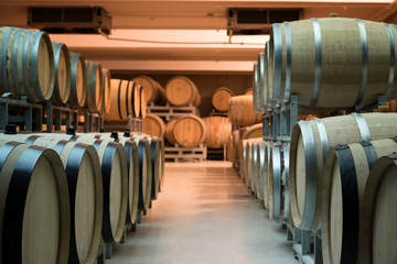 wine aging barrels placed on a row in an air conditioned storage