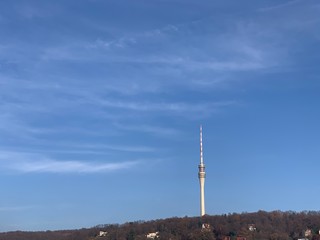 Fototapeta premium tv tower in berlin