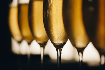 glasses of white sparkling wine champagne lot of close-ups