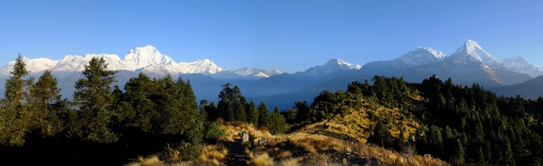 Photo sur Plexiglas Dhaulagiri Vue panoramique sur le massif de l& 39 Annapurna et le massif du Dhaulagiri sur la colline de Ghorepani Poon, Himalaya, Népal