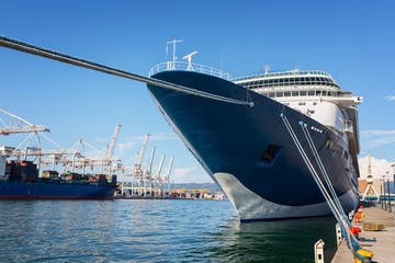 Large cruise ship anchored at the port