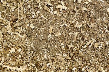 texture of dry soil