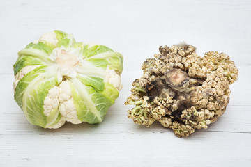 comparison of young and old rotten cauliflower. concept of youth and old age.