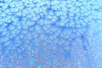 Winter frost in close up
