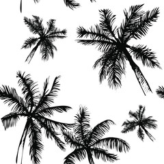 Tropical  vector background.Seamless pattern of tropical leaves