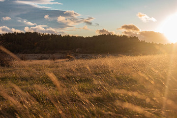 campo atardecer
