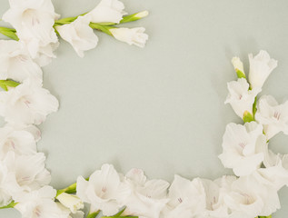 white gladiolus floral flat lay background