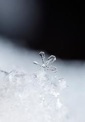 winter photo of snowflakes in the snow