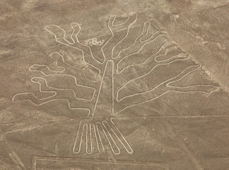 Tree geoglyph, Nazca mysterious lines and geoglyphs