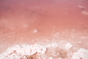 Fototapeta na wymiar pink lake chrystal western australia 2